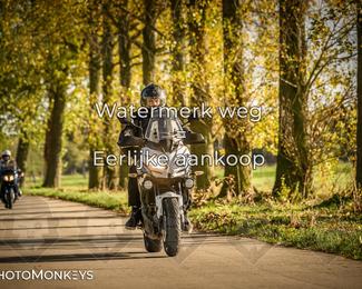 Herfstrit Moerzeke photo