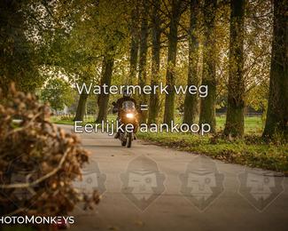 Herfstrit Moerzeke photo