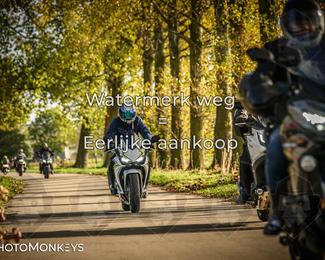 Herfstrit Moerzeke photo