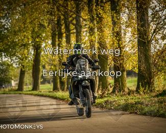 Herfstrit Moerzeke photo