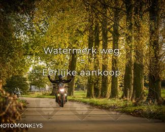 Herfstrit Moerzeke photo