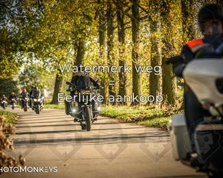 Herfstrit Moerzeke photo