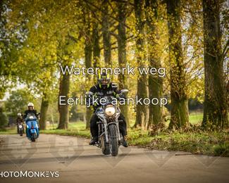 Herfstrit Moerzeke photo