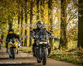 Herfstrit Moerzeke photo