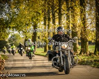 Herfstrit Moerzeke photo