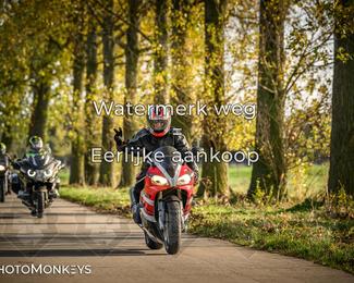 Herfstrit Moerzeke photo