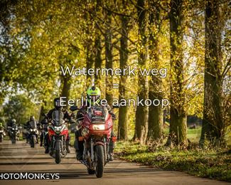 Herfstrit Moerzeke photo