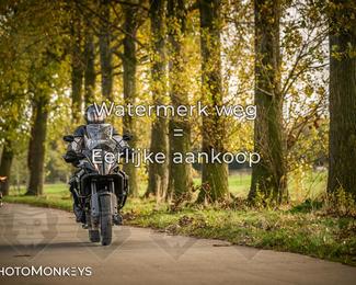 Herfstrit Moerzeke photo