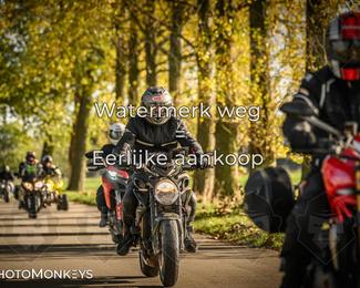 Herfstrit Moerzeke photo