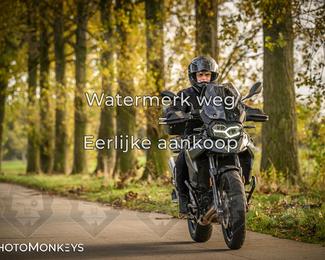 Herfstrit Moerzeke photo