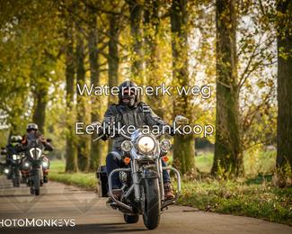 Herfstrit Moerzeke photo