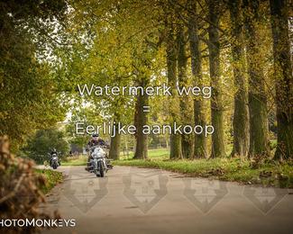 Herfstrit Moerzeke photo