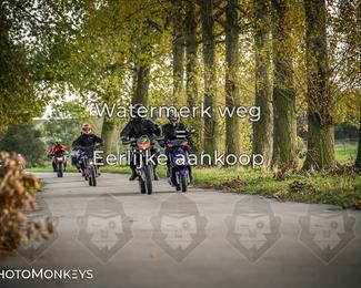 Balade d’automne Moerzeke photo