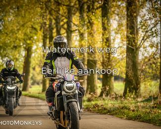 Herfstrit Moerzeke photo