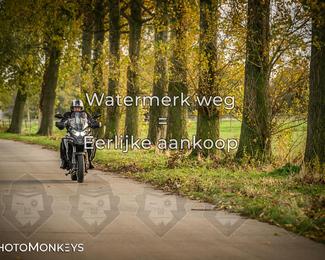 Herfstrit Moerzeke photo