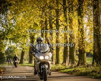 Balade d’automne Moerzeke photo