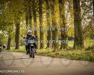 Herfstrit Moerzeke photo