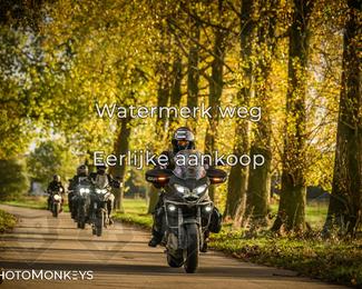 Herfstrit Moerzeke photo