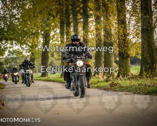 Herfstrit Moerzeke photo