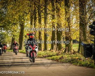 Herfstrit Moerzeke photo