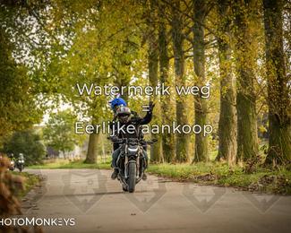 Herfstrit Moerzeke photo