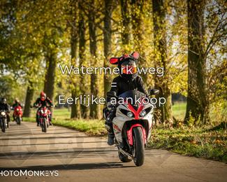 Herfstrit Moerzeke photo