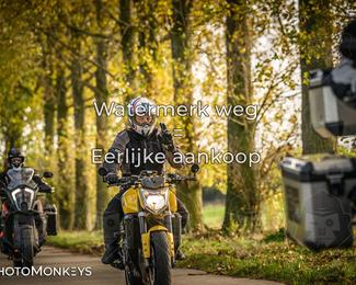 Herfstrit Moerzeke photo