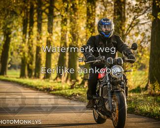 Herfstrit Moerzeke photo