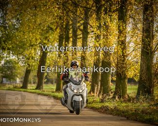 Herfstrit Moerzeke photo