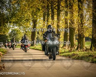 Herfstrit Moerzeke photo