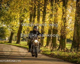 Herfstrit Moerzeke photo