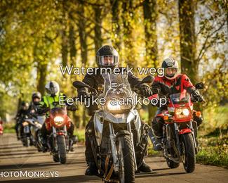 Herfstrit Moerzeke photo