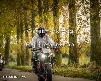 Herfstrit Moerzeke photo