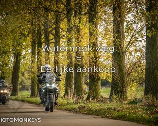 Herfstrit Moerzeke photo