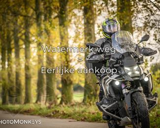 Herfstrit Moerzeke photo