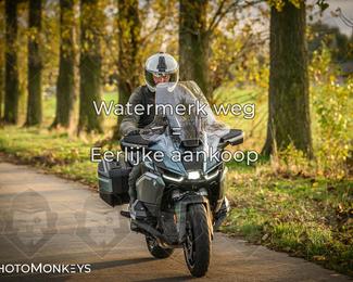 Herfstrit Moerzeke photo