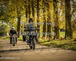 Herfstrit Moerzeke photo