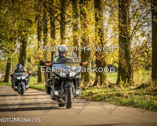 Herfstrit Moerzeke photo