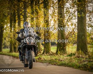 Herfstrit Moerzeke photo