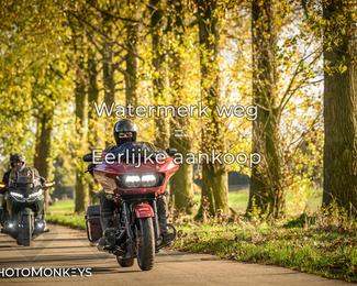 Herfstrit Moerzeke photo