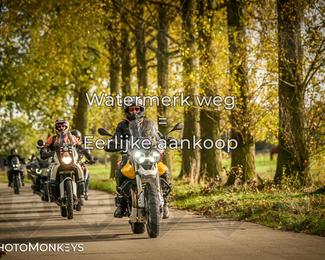 Herfstrit Moerzeke photo