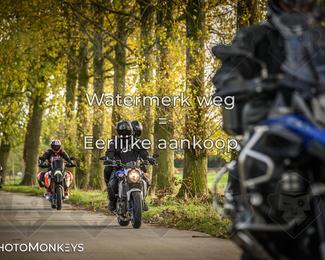 Herfstrit Moerzeke photo