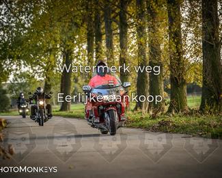 Herfstrit Moerzeke photo