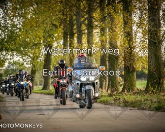 Herfstrit Moerzeke photo