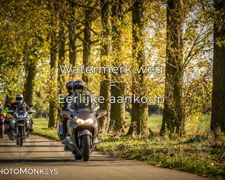 Herfstrit Moerzeke photo