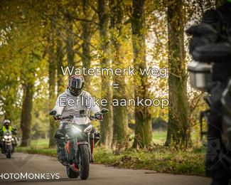 Herfstrit Moerzeke photo