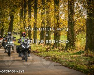 Herfstrit Moerzeke photo