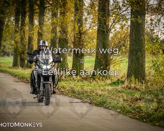 Herfstrit Moerzeke photo