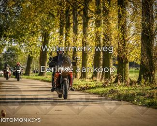 Herfstrit Moerzeke photo