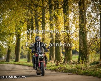 Herfstrit Moerzeke photo